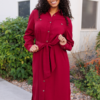Anne Burgundy Button Up Dress