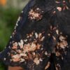 BiancaBlackFloralDress_DSC0494.jpg Bianca Black Floral Dress