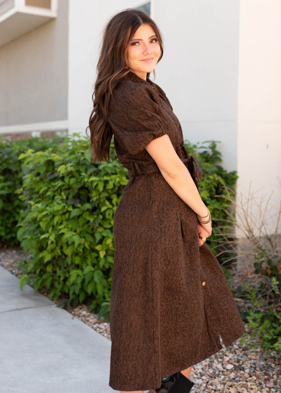 BonnieBrownLeopardDress_DSC8471.jpg Bonnie Brown Leopard Dress