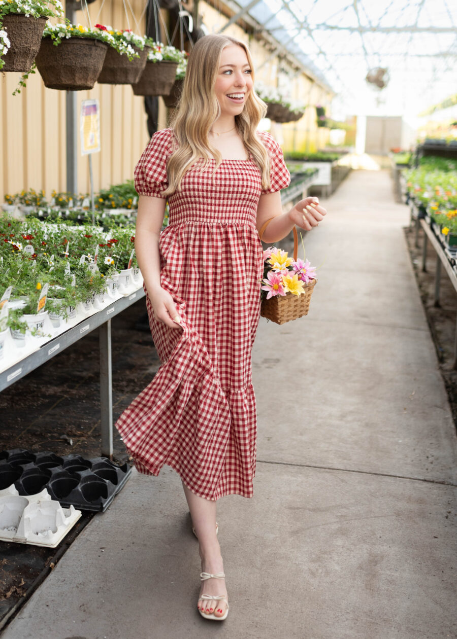 BridgetRedGinghamDress_DSC2197.jpg Bridget Red Gingham Dress