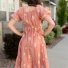 RosieTerracottaEmbroideredDress_DSC2953.jpg Rosie Terracotta Embroidered Dress